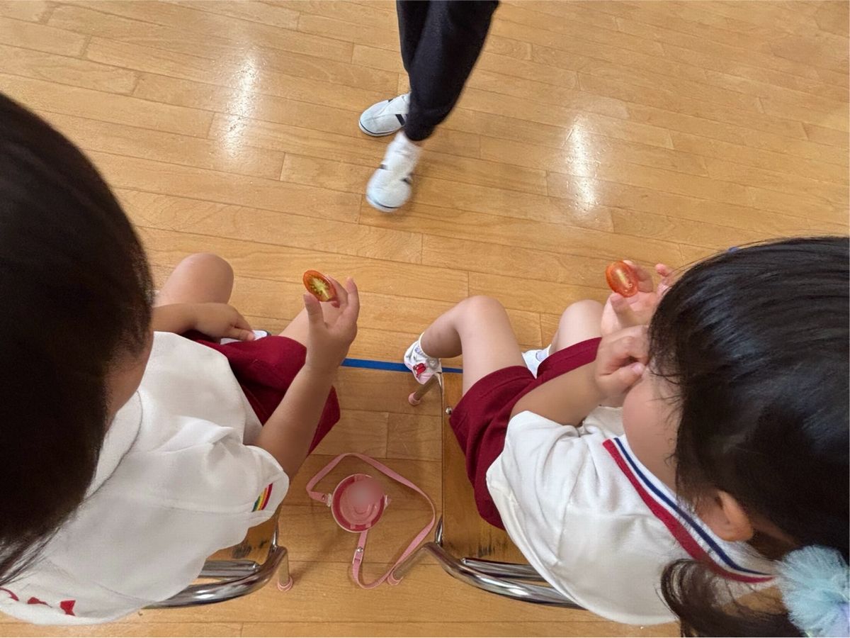 3トマト 3トマト