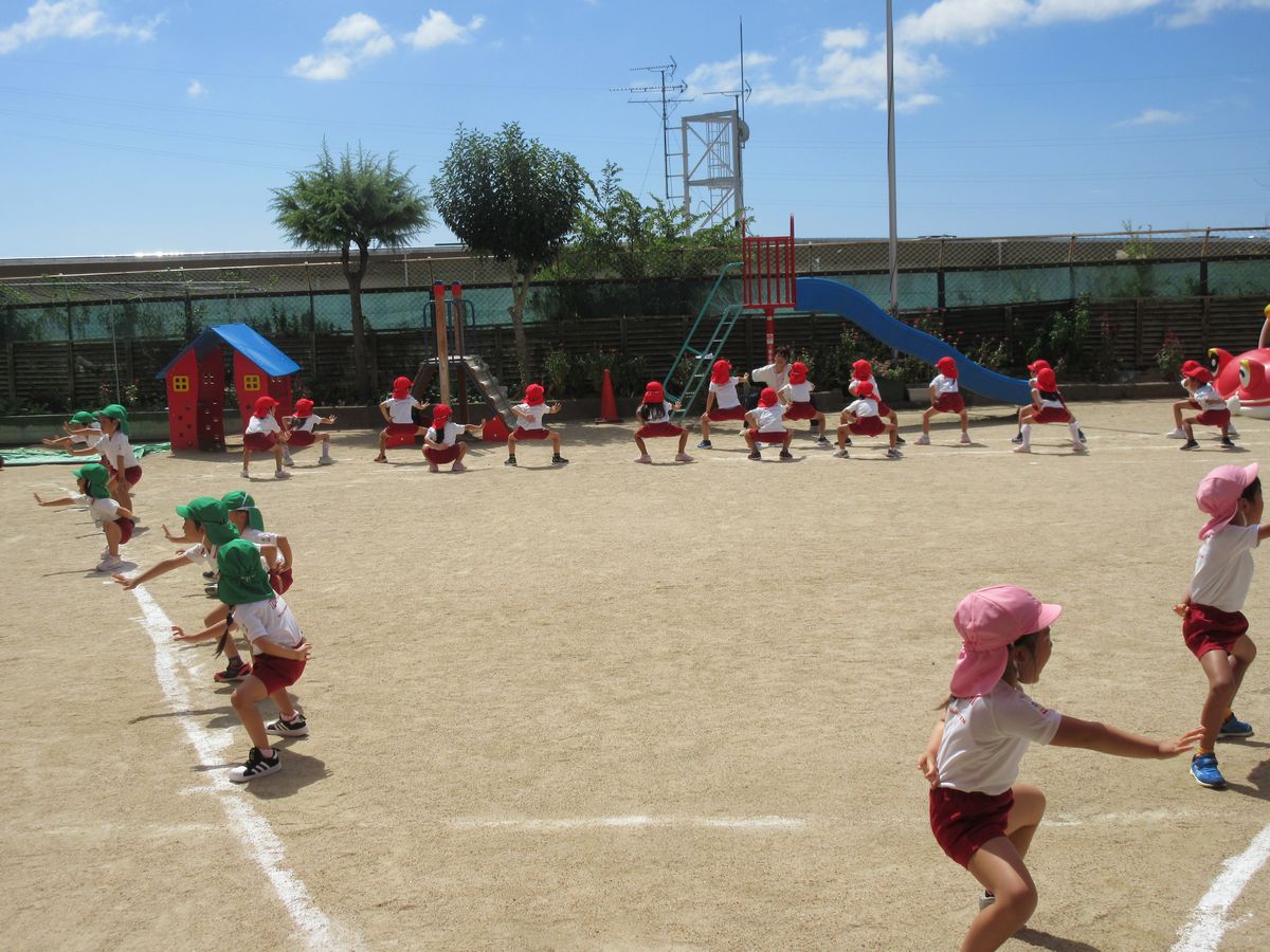 ５歳ソーラン・園庭 (9)