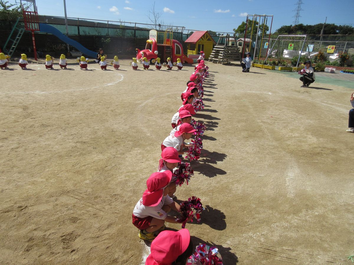 ３歳ポンポン (1)