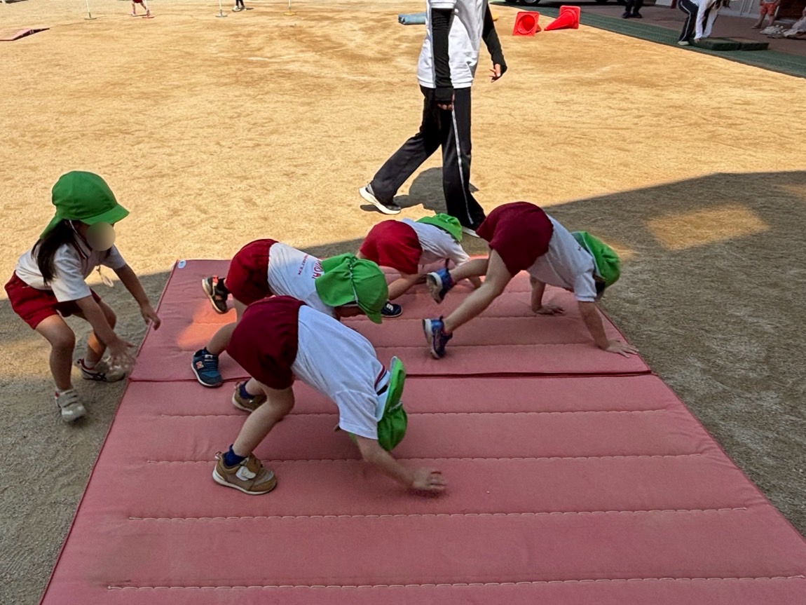 3体育3 3体育3
