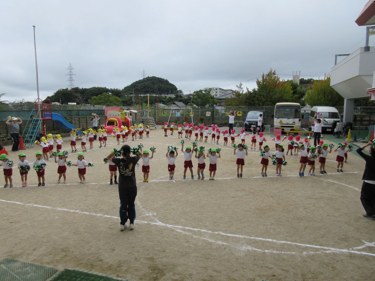 ３歳ポンポン