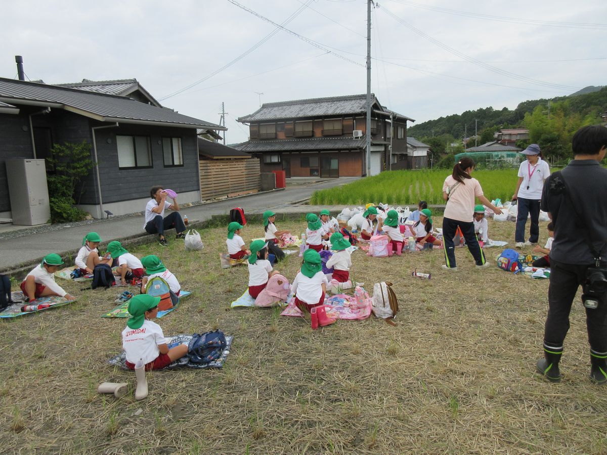 ５歳２いもほり (48)